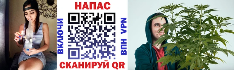 Бошки Шишки семена Салехард